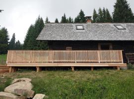 Ochsenwaldhütte，位于Teschrepl的酒店