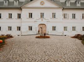 Hotel Château Gbeľany，位于日利纳的酒店