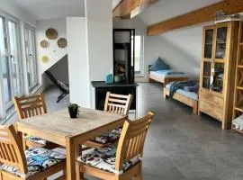 Haus Villa-Moderne Galeriewohnung in Wallersdorf-Haidlfing