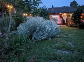 Chalet sul Trasimeno，位于圣阿坎格勒的酒店