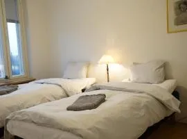 Cozy apartment with view