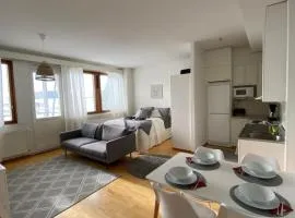 Kodikas huoneisto Rovaniemen keskustassa