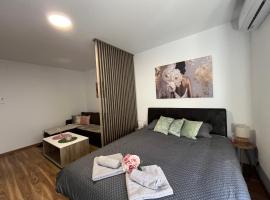 Vlasic Apartmani HANA，位于弗尔沙茨的酒店