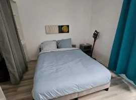 Sapphire room - 20 min to Paris