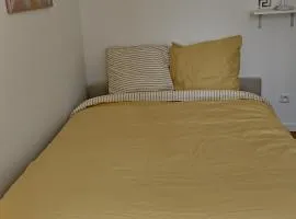 Amber room - 20 min to Paris