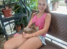 费丽扎别墅住宿加早餐旅馆，位于洛博克的酒店