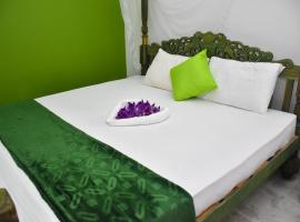 Cinnamon Mantra Luxury Villa，位于贝鲁沃勒的酒店