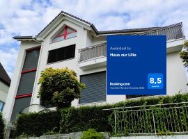 Haus zur Lilie，位于Hinwil的民宿