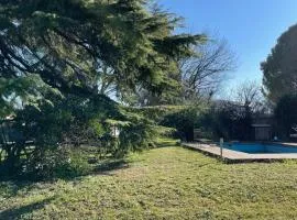 House with pool in Provence