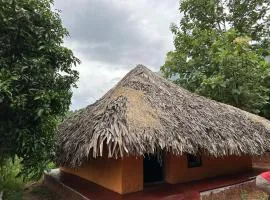 Jungle Farm House