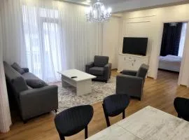 Stylish House