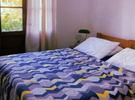 Larica Guest House，位于巴拉德瓦利扎斯的青旅