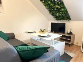 Nid Douillet Proche Centre ville