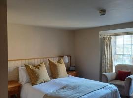 Y Meirionnydd Hotel，位于多尔盖罗的酒店