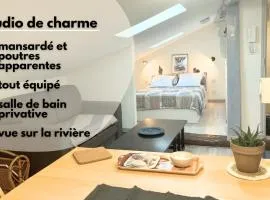 Le Terrier