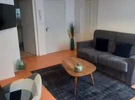 appartement coeur de ville Laruns 2 ou 3 personnes