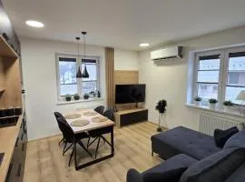 Modern Apartment Javornik