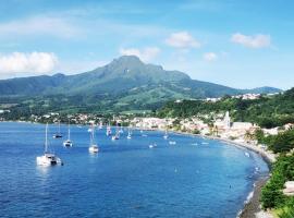 La Case Saint-Pierre，位于Saint-Pierre的酒店