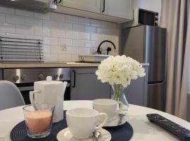 Apartamenty - Studio Gliwice II，位于格利维采的酒店