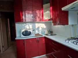Apartment - Panasa Myrnoho 20，位于米尔哥罗德的酒店