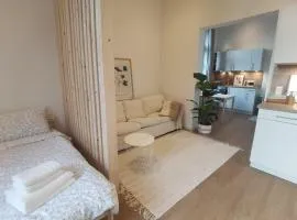 FeWo 1 Zimmer Apartment barrierefrei in Berne