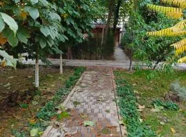 apartments green area