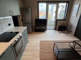 Elvegata 6, 0302 Kristiansand