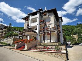 Hotel Moldavia，位于斯兰默多瓦的酒店