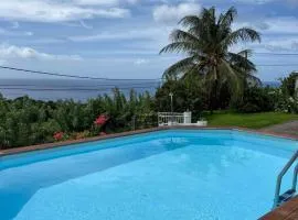 T3 Carbet vue mer piscine et location auto possible