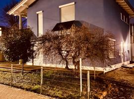 TheBlue Oak Apartments，位于鲁斯特的别墅