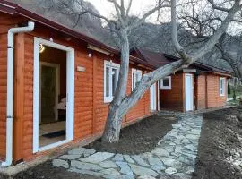 Bujtina Shpella e Plakës Çerçan Librazhd