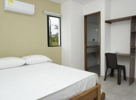 Hotel INdustrial，位于辛塞莱霍的酒店