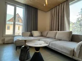 Girske Povitria Apartments