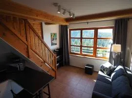 Cihlářka 303