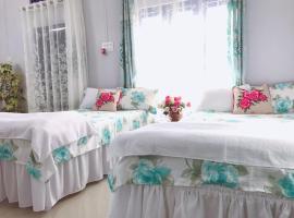 Lily's Guest House，位于迪布鲁加尔的民宿