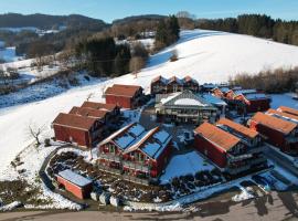 Village Hotel Bayerischer Wald，位于Neukirchen的酒店