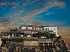 裴登奥尔瓦酒店，位于圣艾夫斯的酒店