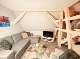 Chic&Cosy - Vue exceptionnelle - Centre Haguenau