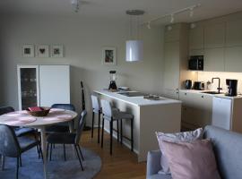 Air conditioned condo downtown with lake view