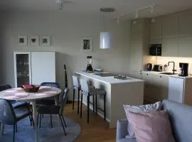 Air conditioned condo downtown with lake view