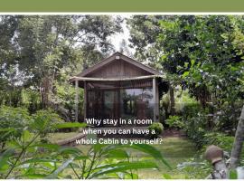 Private Cabin and private Kitchen - Experience serenity, and beautiful nature，位于锡吉里亚的酒店