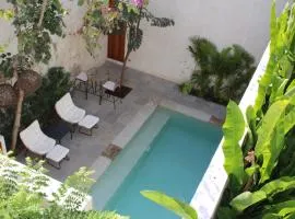 MAYAPAN Mérida HiSTORIC CENTER