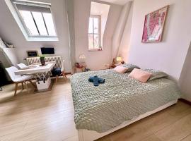 Le petit POTE' studio Dijon hyper centre，位于第戎的带停车场的酒店