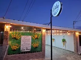 Lilia House 15 minutos Aeropuerto