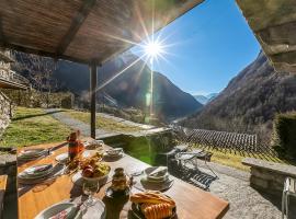 Rustico Over The Bridge Verzasca，位于拉韦尔泰佐的酒店