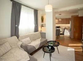 Gaia Celeste Cozy 2 Bedroom Apartment near Ioannina Center