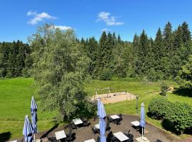 Ferienwohnung Wilma Hinterzarten，位于欣特察尔滕的酒店