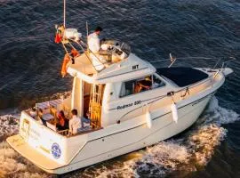 Romantic boat on the Tagus River