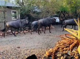 Shiringa kruger lodge