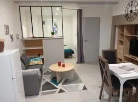 Grand Studio chambre séparée